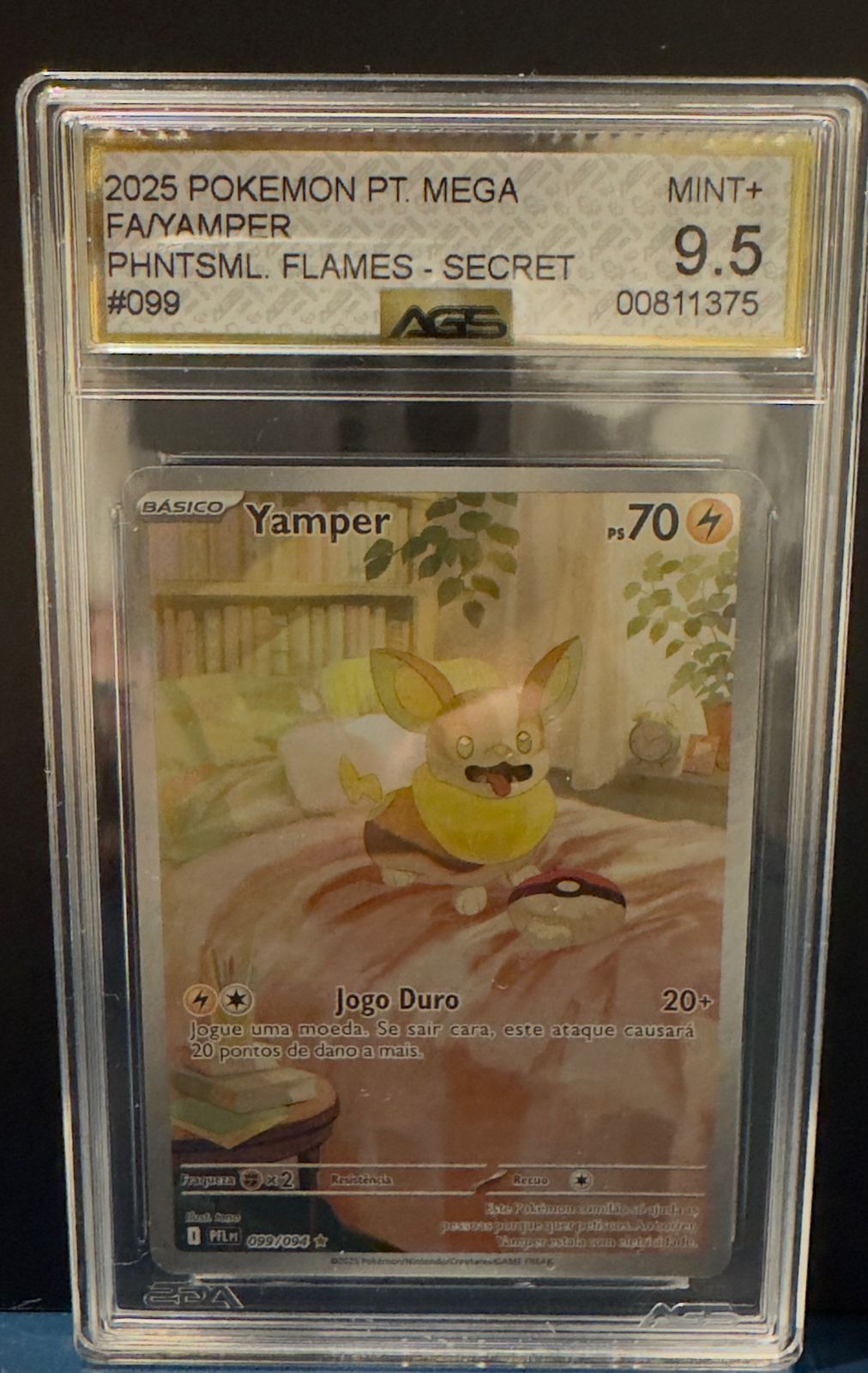 Yamper AGS 9.5