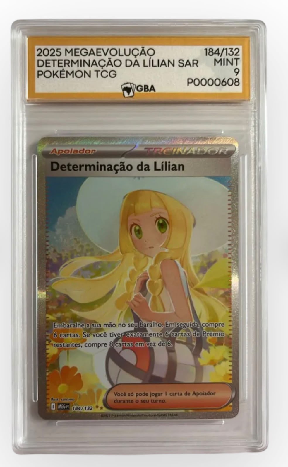 Determinação da Lilian GBA 9 PT-BR