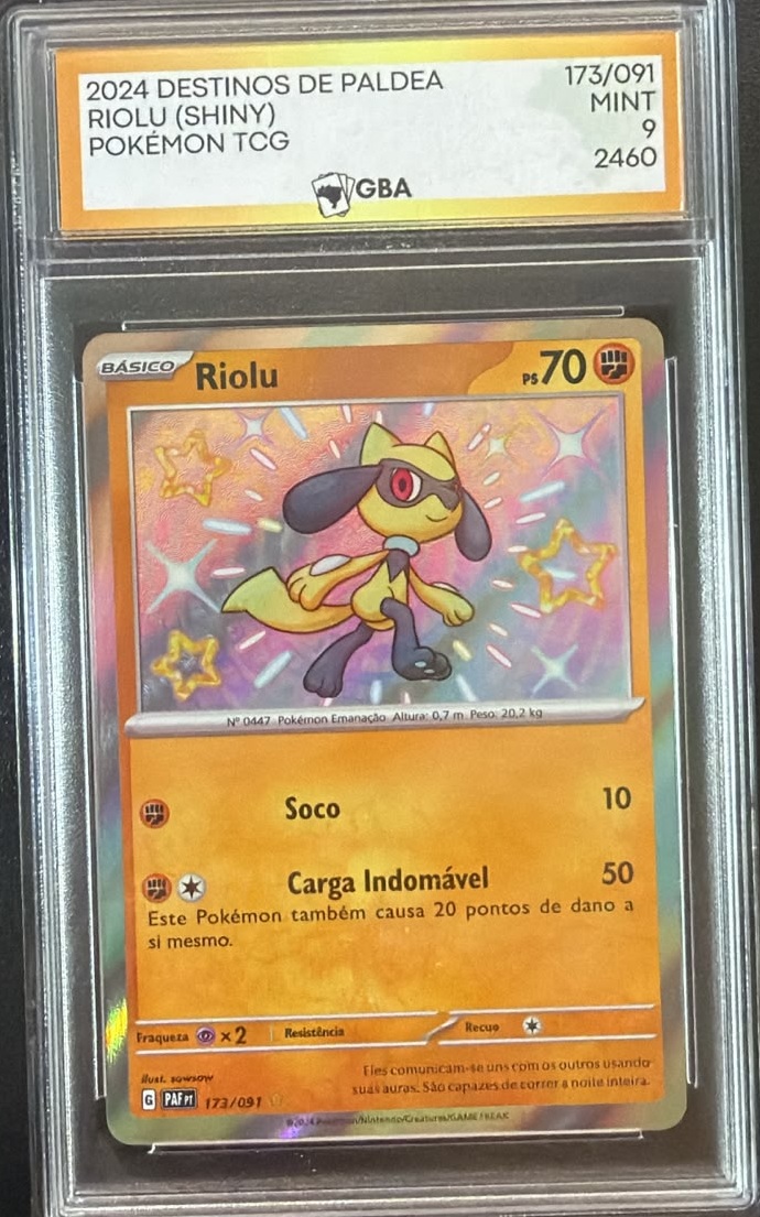 Riolu Shiny PT-BR GBA 9
