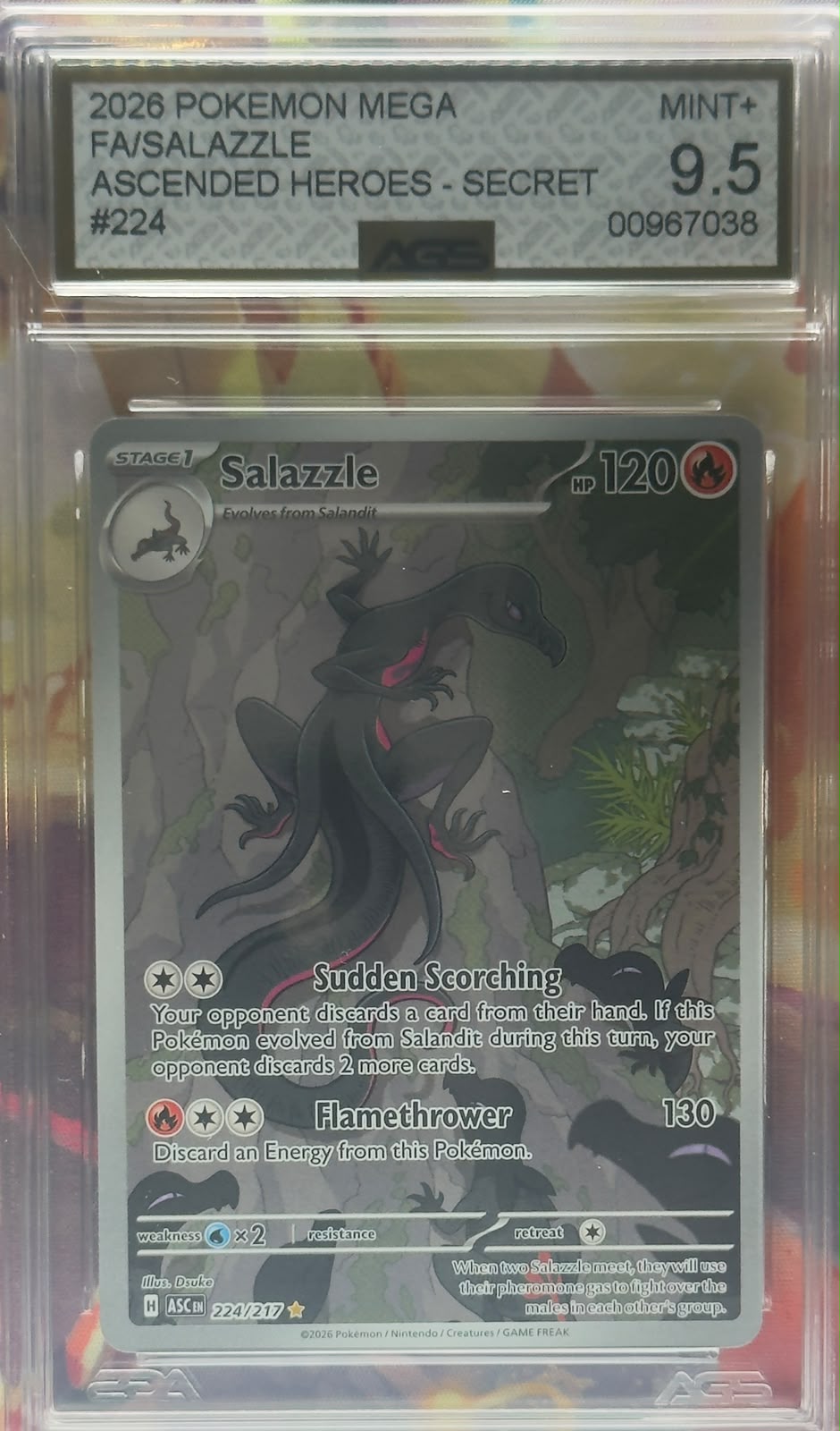 Salazzle #224 AGS 9,5 ENG