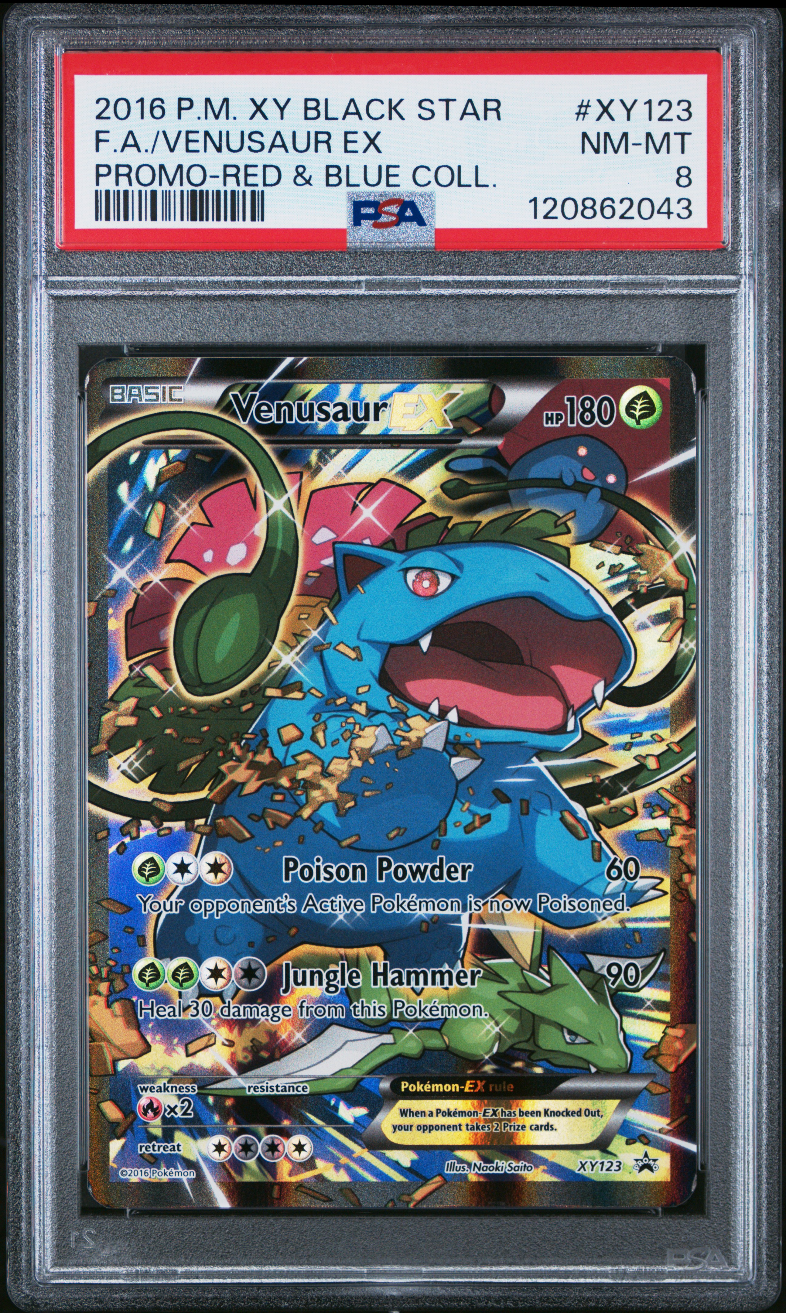 FA/VENUSAUR EX PROMO-RED & BLUE COLL. #XY123 PSA 8